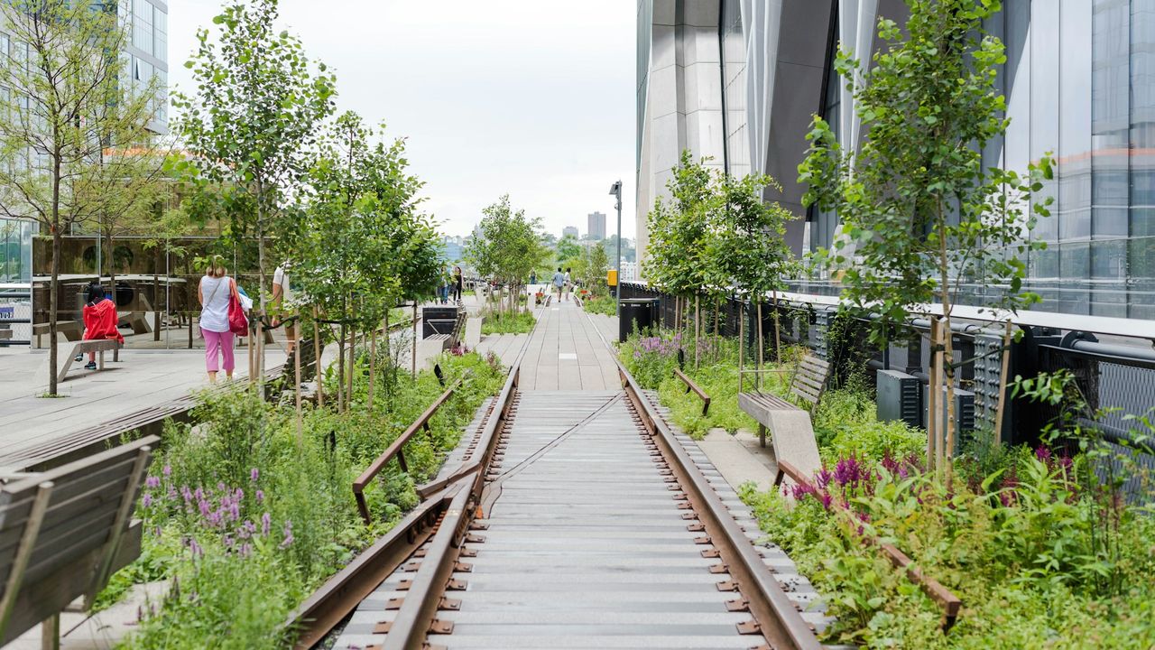 The High Line walkway with greenery, rail tracks and modern buildings