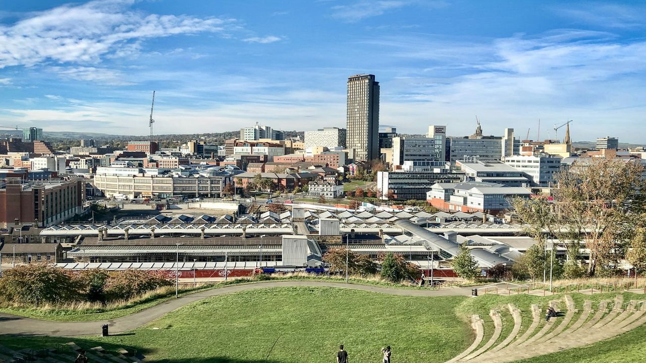 Sheffield city skyline viewed from a green hillside