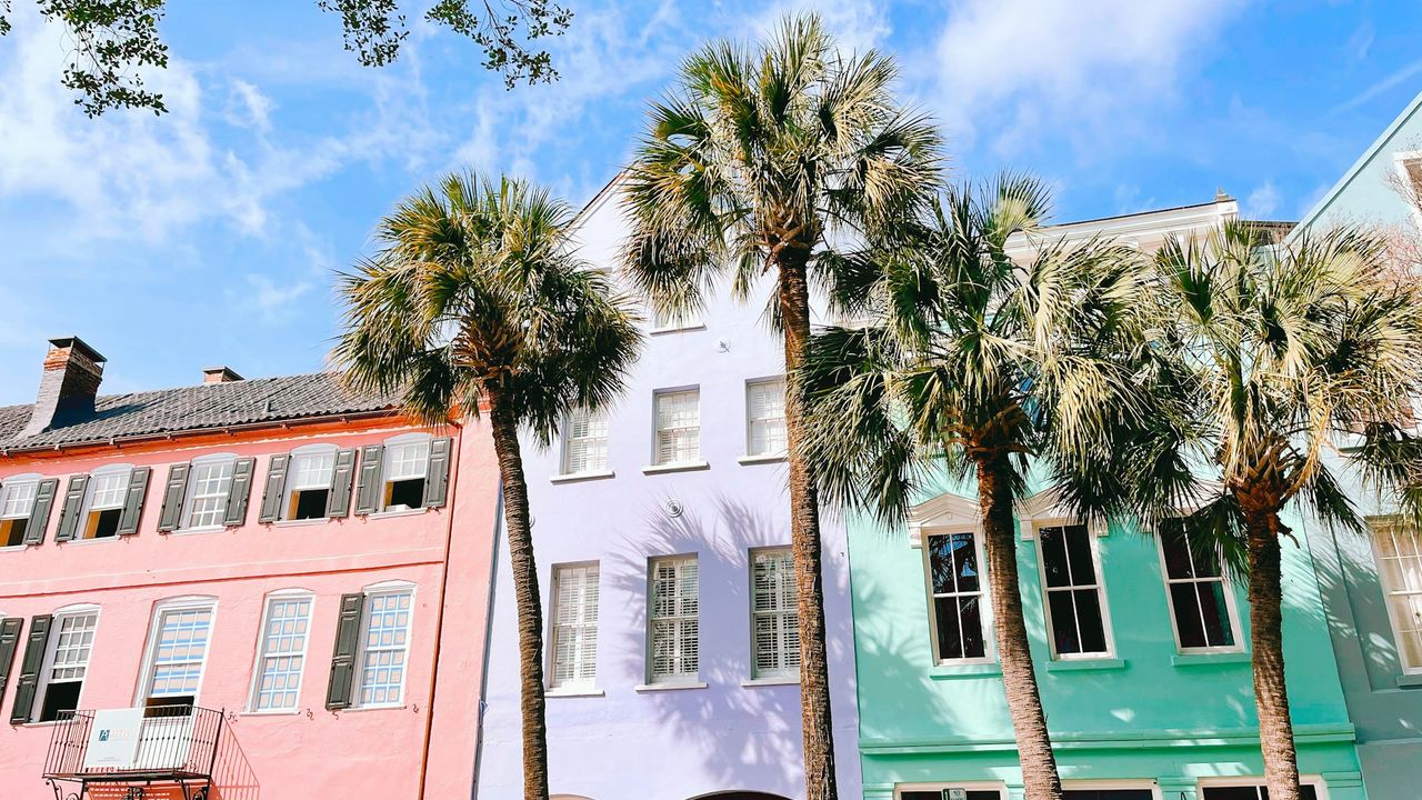 Colorful Charleston houses with palm trees on a sunny day
