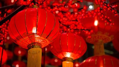 A close-up shot of glowing red Chinese lanterns with gold tassels hanging amidst red blossom decorations, commonly used for Chinese New Year.